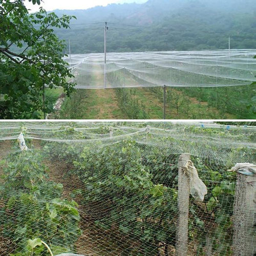 1.5cm Hole mesh Multiple Sizes Plastic Anti Bird pest Net Pond Net garden Fruit Tree Vegetables Orchard Protection Net
